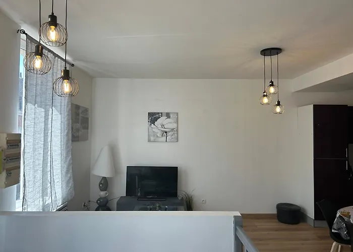 Appartement En Duplex, 1e Etage, Proche Commodites Armentières